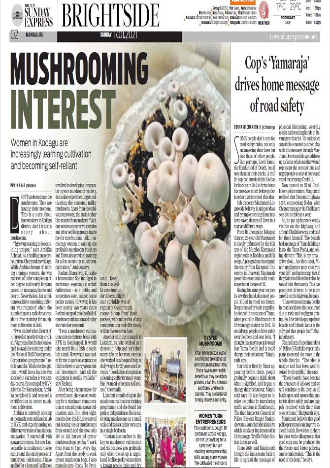 articles