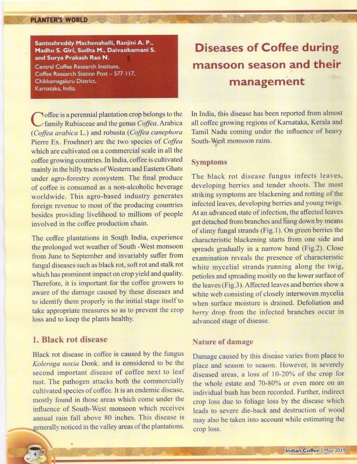 articles