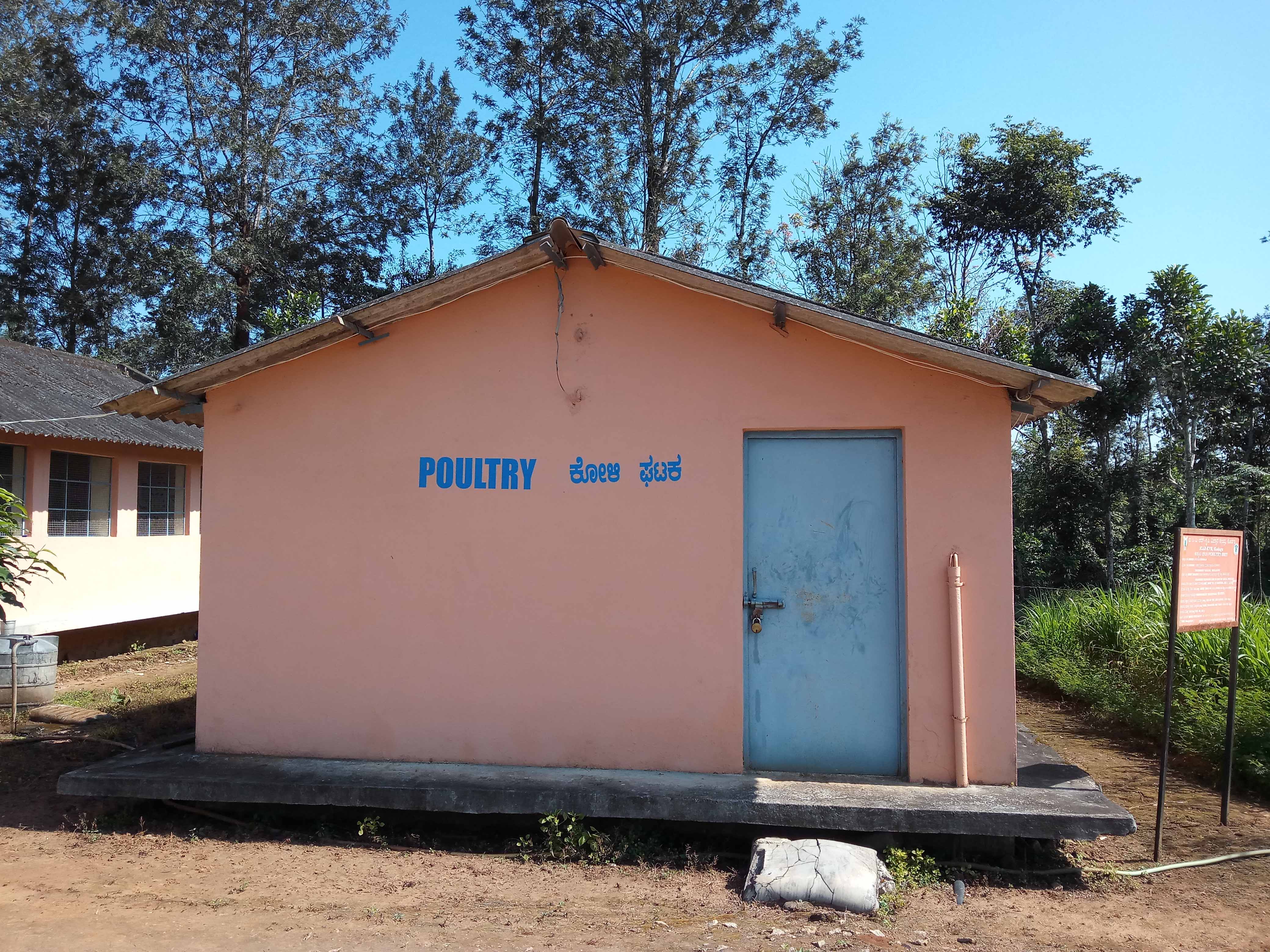 poultry
