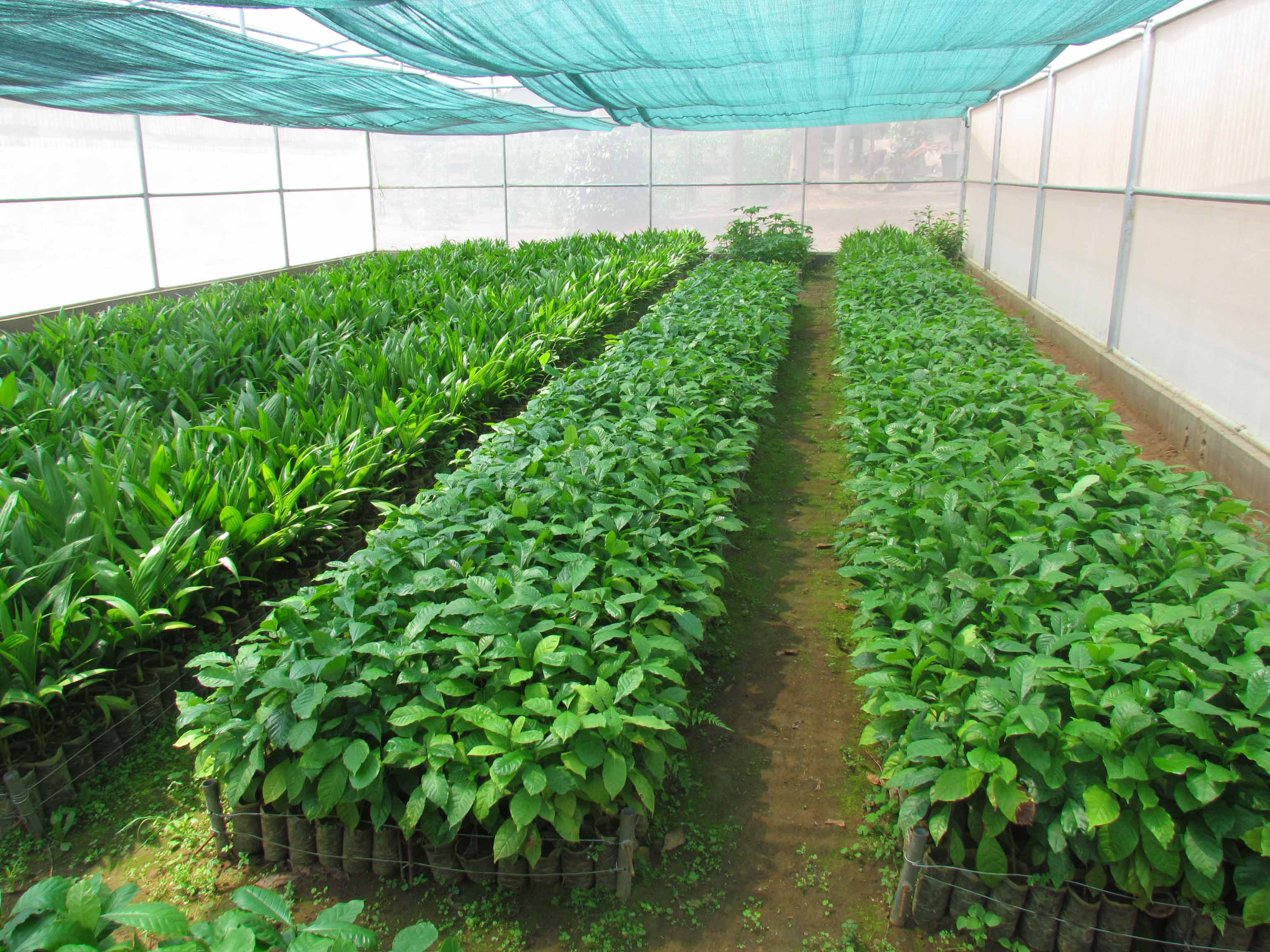 nursery
